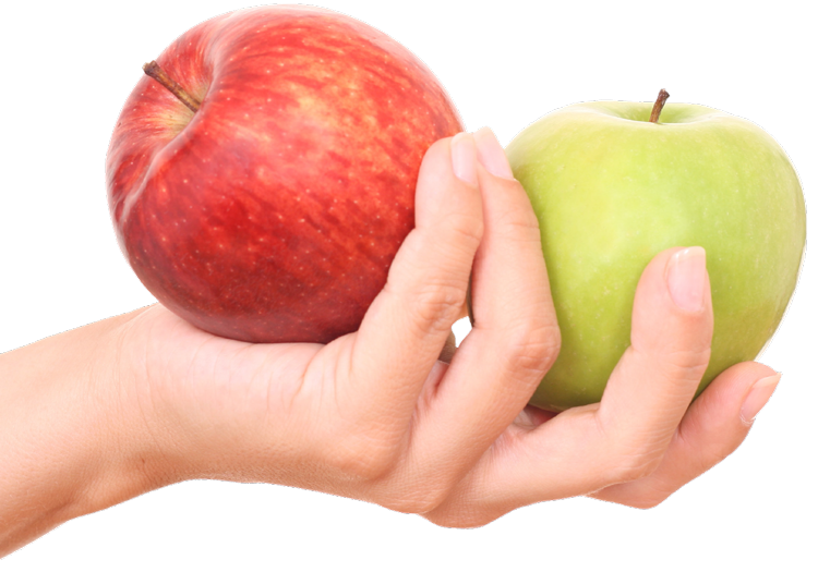 Handappelen | Apple Tree